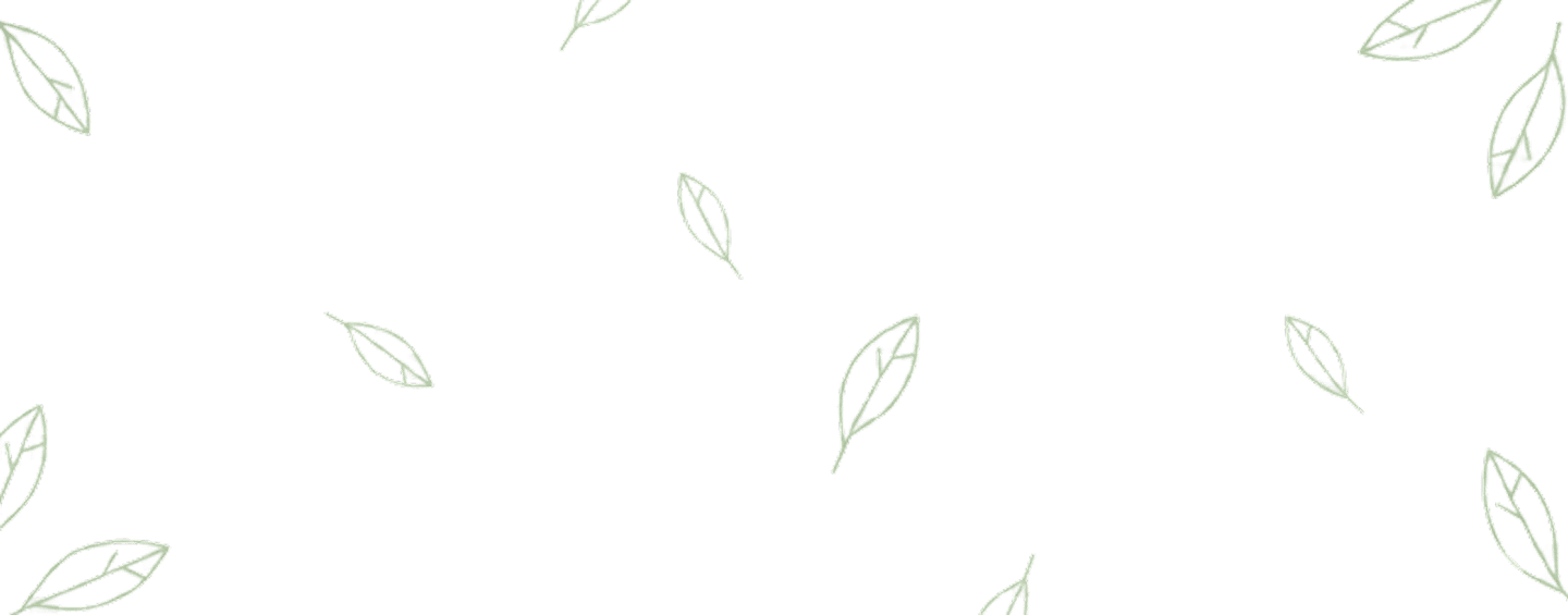 plantation fields in Sri Lanka